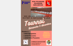 Tournoi 3 déc 2023 : Mini Poussins, Poussins, Benjamins 