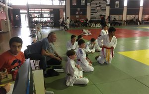 5a365cf6058cd_17121609282726.jpeg